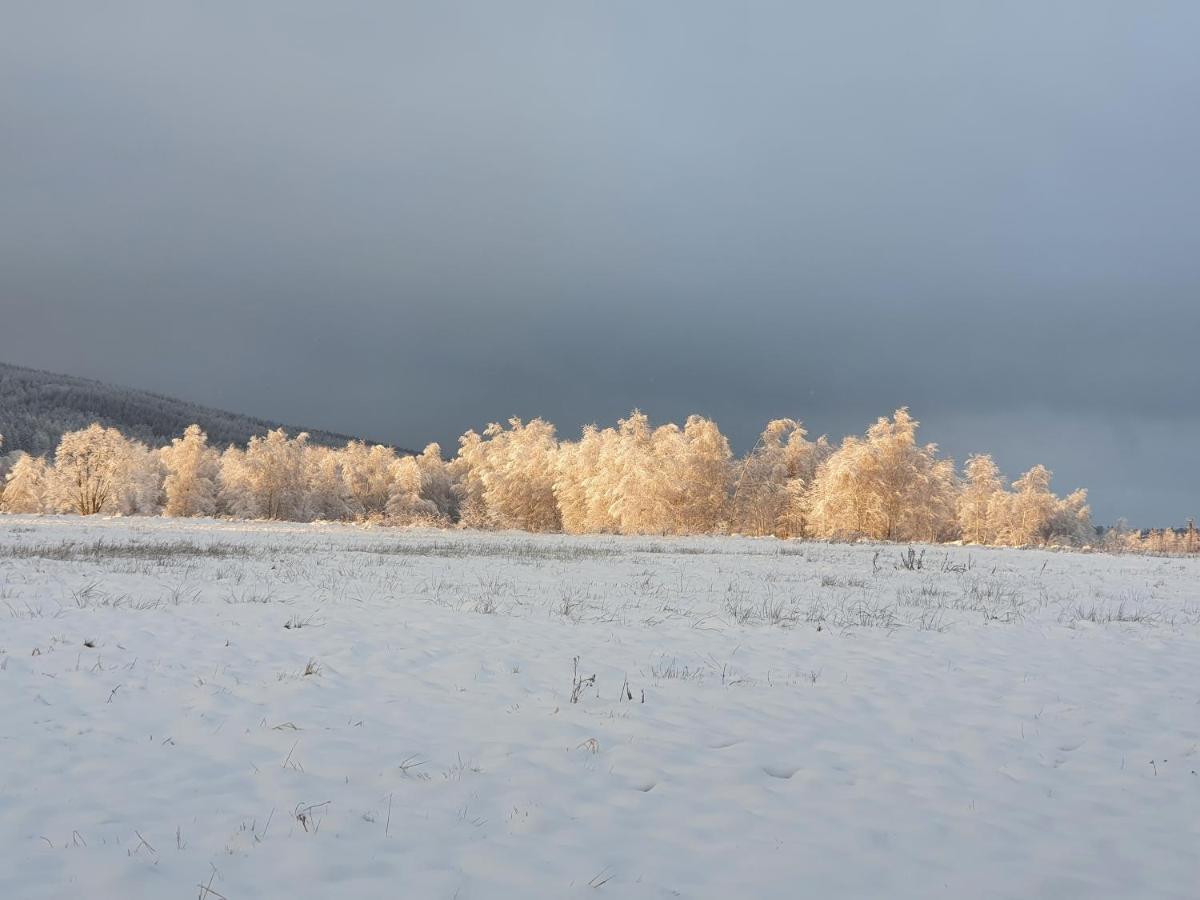 ApartIzer Świeradów Zdrój Pobiedna Exterior foto